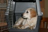 CAGE - BOX 019